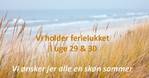 Opslagsbillede