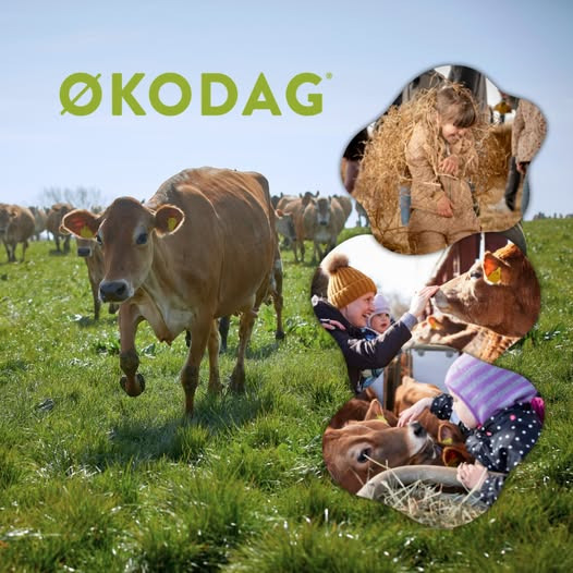 Rema 1000 Halgårdvej inviterer til Økodag på søndag