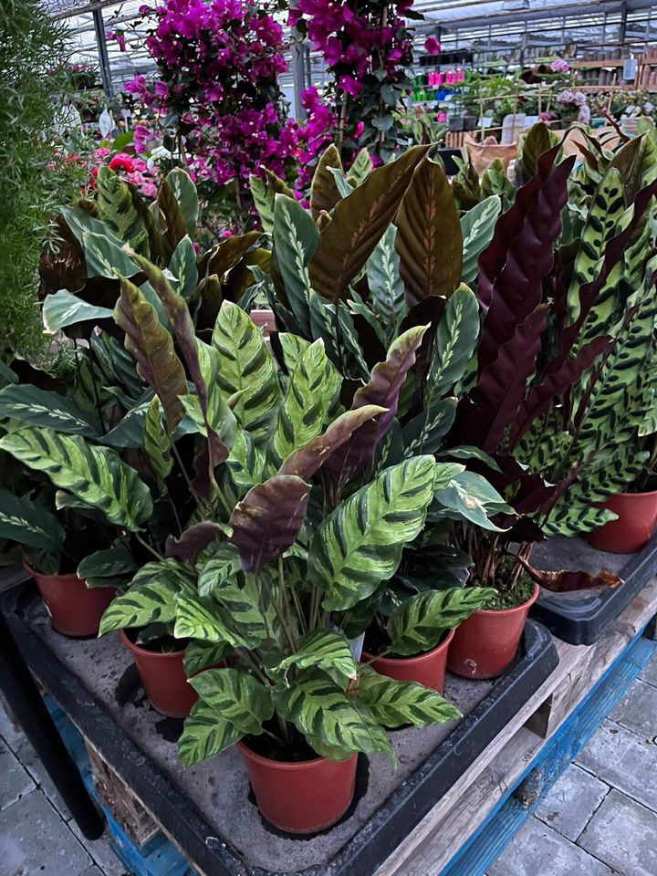 Se dagens updates fra Horsens her