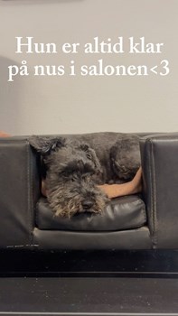 Opslagsbillede