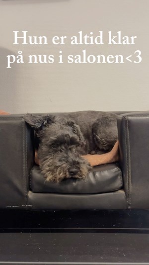 opslagsbillede