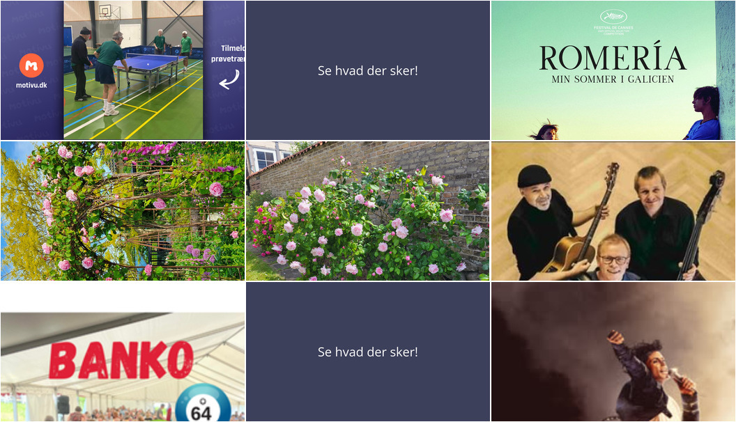 Oplev Faaborg i weekenden: Bordtennis, film og blomstrende haver