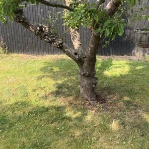 Opslagsbillede