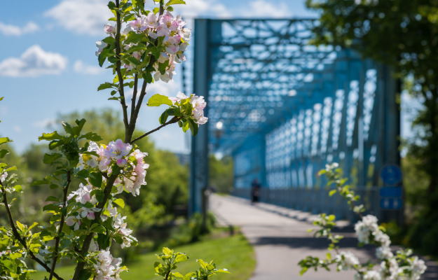 Indbydende grønt og blåt område ved Østervold i Randers