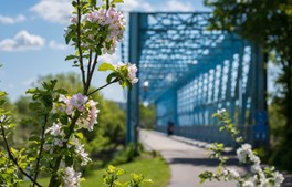 Indbydende grønt og blåt område ved Østervold i Randers