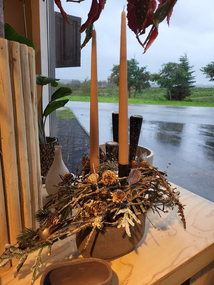 Opslagstavlen: Nyeste opdateringer fra Viborg