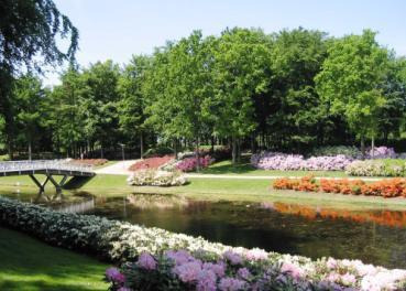 Oplev Rhododendronparken med Osteoporoseforening Vendsyssel