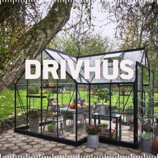 Opdatér dig her: Det nyeste fra Hals