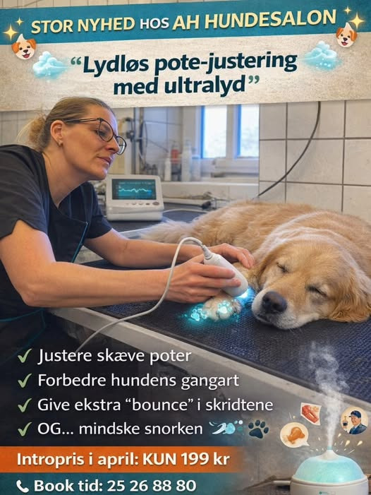 AH Hundesalon lancerer ny ultralydsbehandling til poter