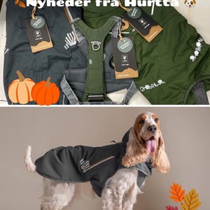 Opslagsbillede
