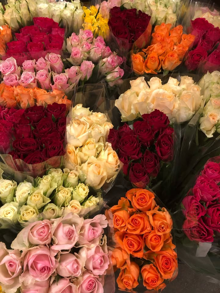 Blomsterkupp hos Løvbjerg Frederikshavn: 10 roser til kun 14,99 kr fredag