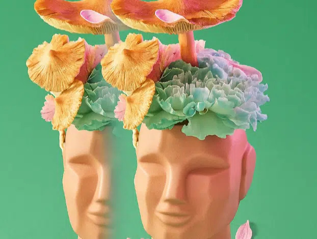 Sindets Dag 2025 i Kolding fejrer menneskelig diversitet gennem kunst og musik