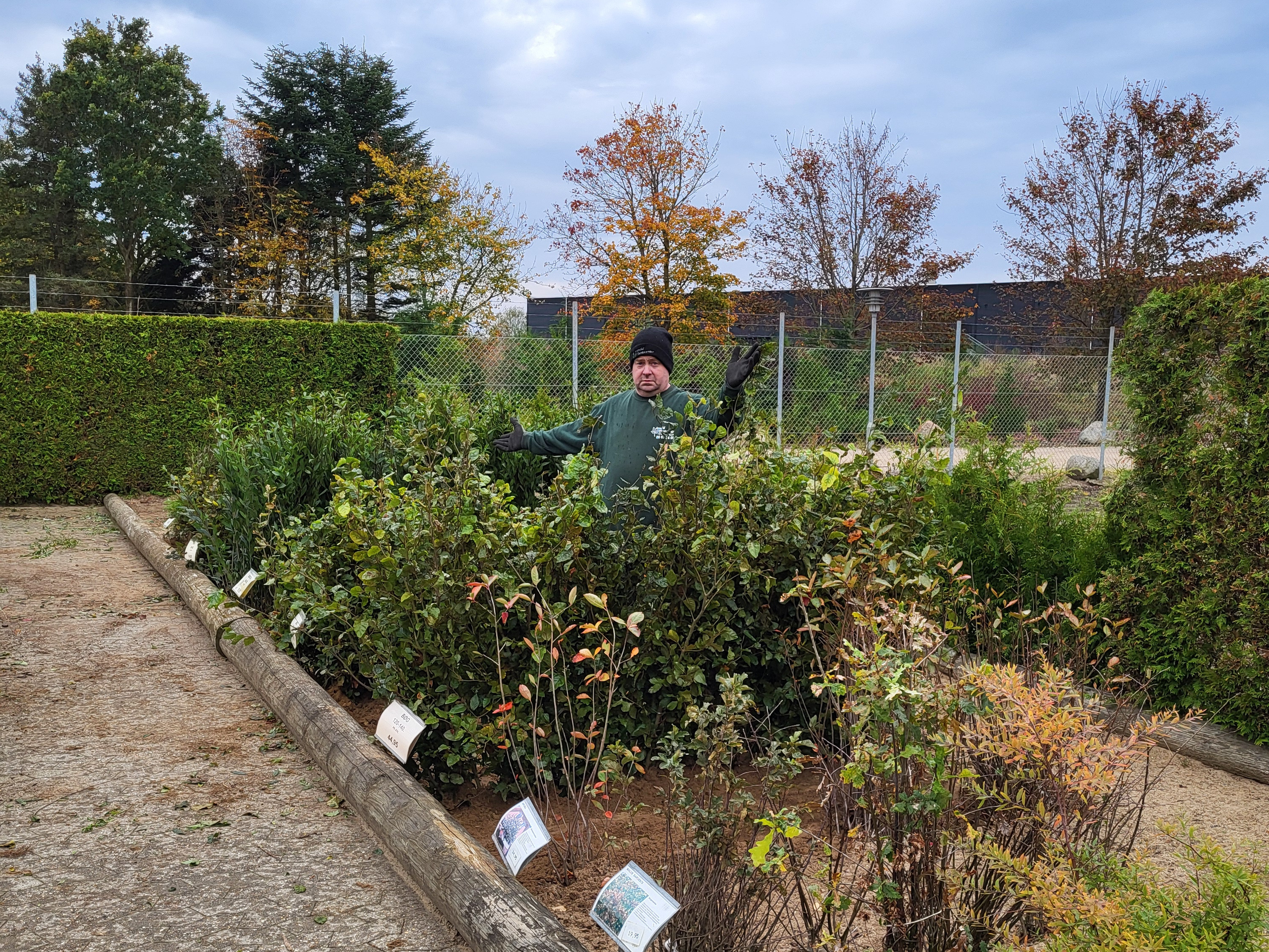 Asmild Plantecenter byder efteråret velkommen med barrod og kalk