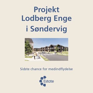 opslagsbillede