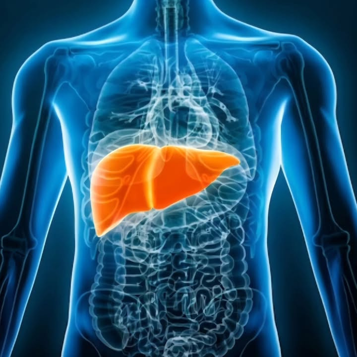 Sådan kan ubalanceret lever påvirke din krop, ifølge Brandsborgs Kropsterapi