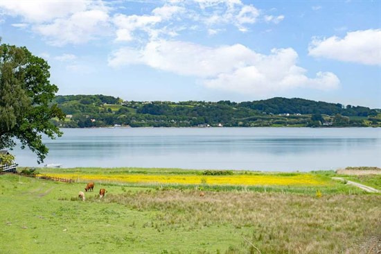 Netop kommet til salg: Skovly 106 en af Børkops dyreste adresser