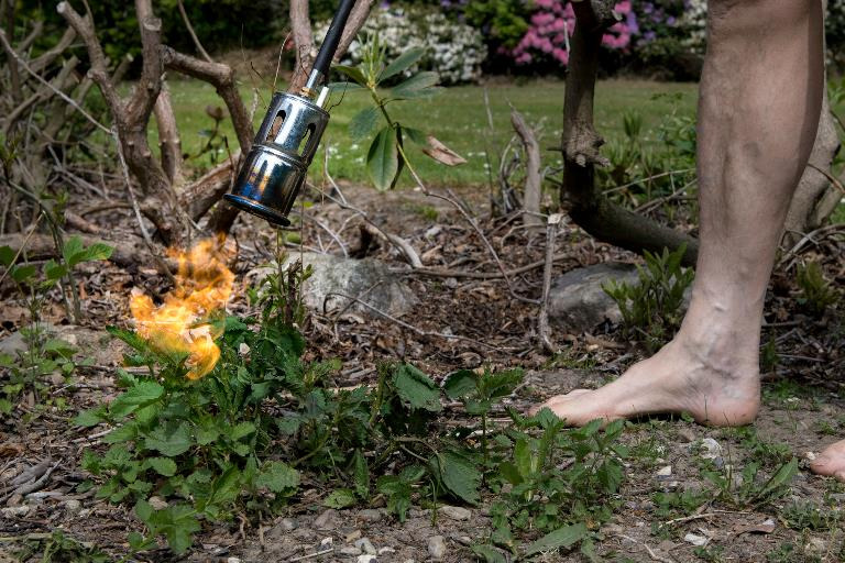 Pas på brandfare når du bruger ukrudtsbrænder: Gode råd til sikker brug