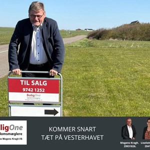 Opslagsbillede
