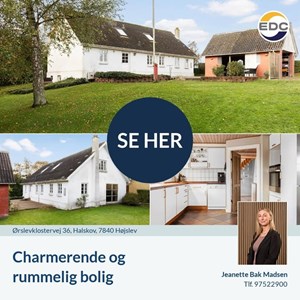 Opslagsbillede