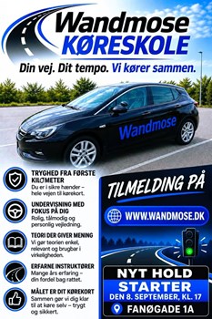Opslagsbillede