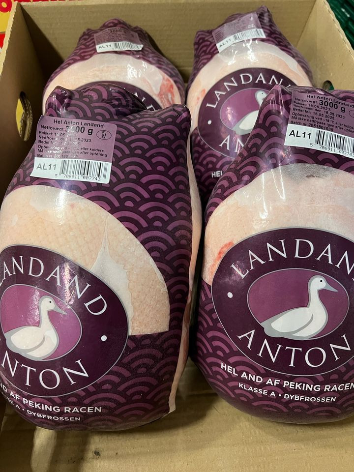 Hold dig ajour med dagens opdateringer fra Frederikshavn