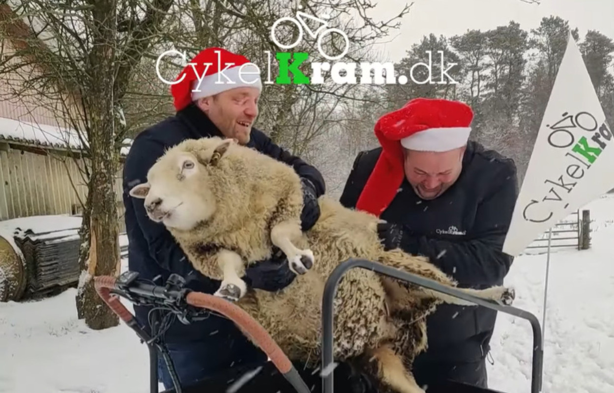 Cykelkram skabte julestemning og underholdning i lavsæsonen
