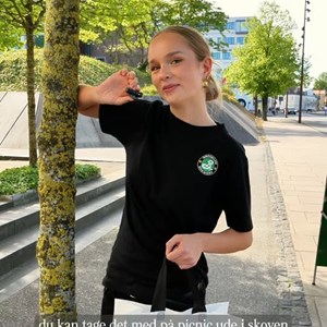 Opslagsbillede
