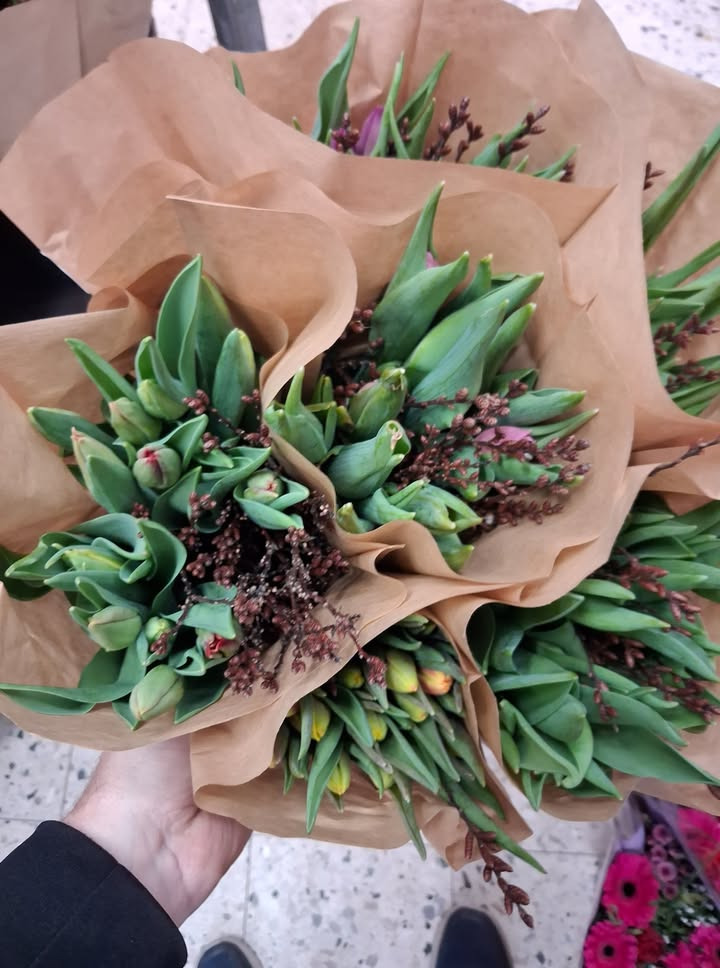 Løvbjerg Frederikshavn tilbyder tulipaner med grene til ja tak pris