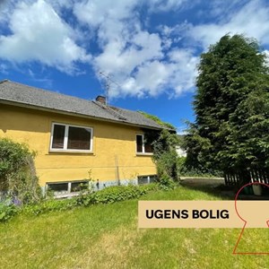 Opslagsbillede