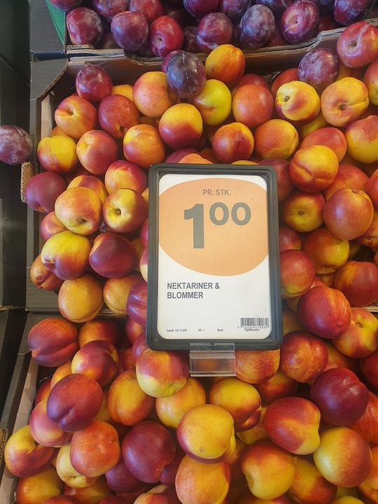 Hold trit med lokalområdet: Nyt fra Silkeborg