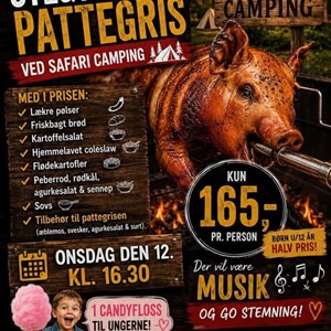 Opslagsbillede