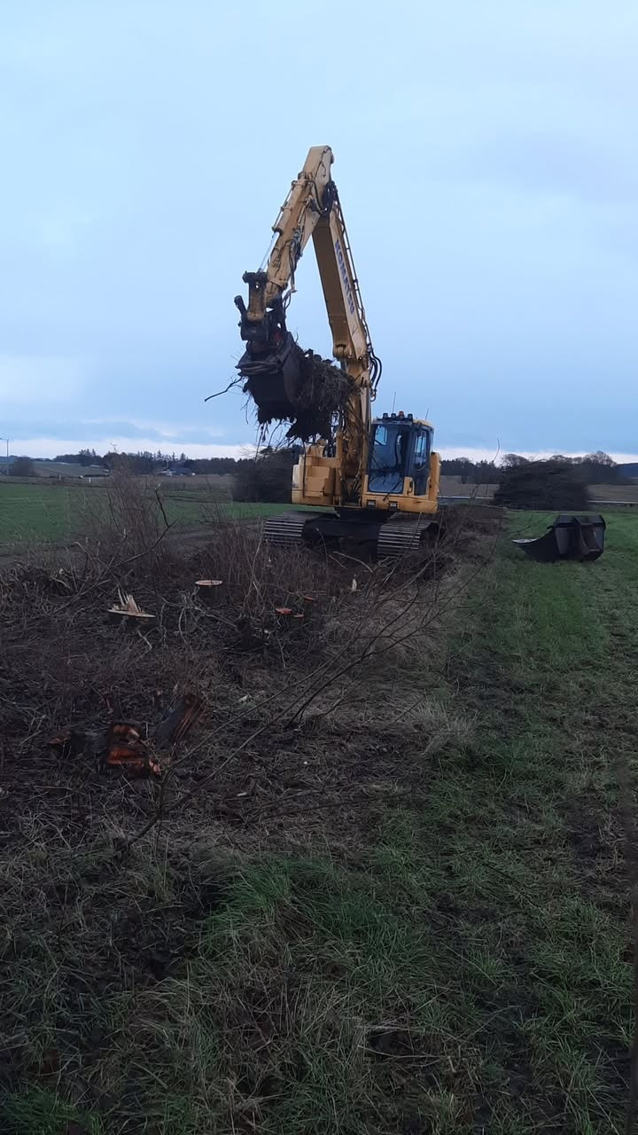 KF Anlæg fjerner gammelt læbælte med gravemaskine og gør jorden klar til nyt græs