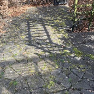 Opslagsbillede