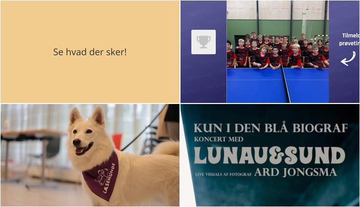 Oplev Ringe denne weekend: Bordtennis, læsehunde og musikalsk biografoplevelse