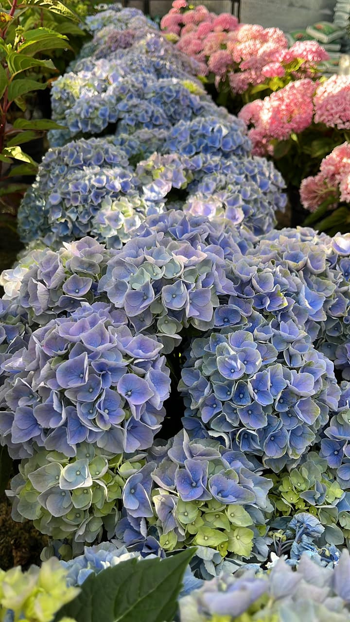 Hold dig ajour med dagens opdateringer fra Horsens