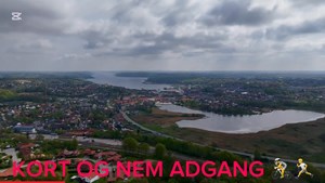 opslagsbillede