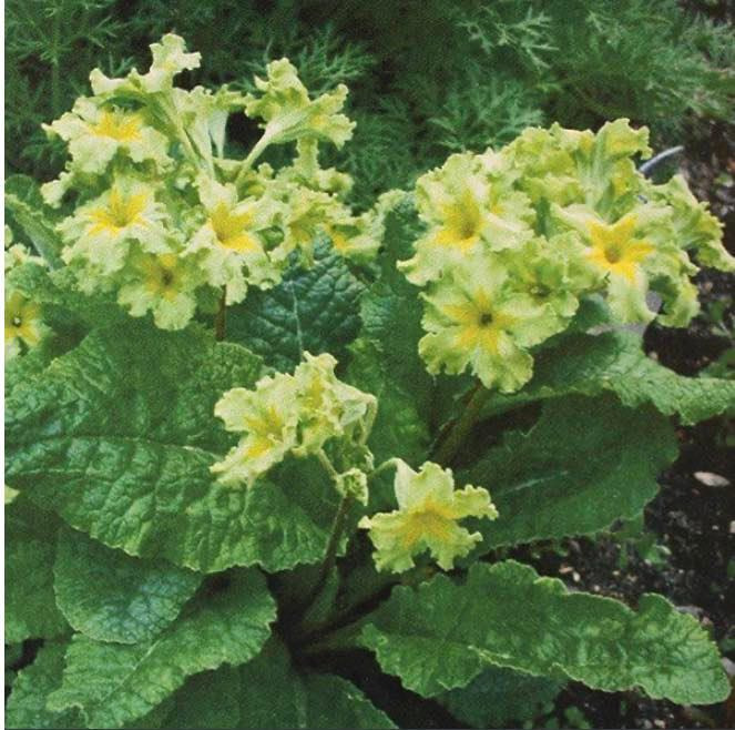 Se dagens updates fra Hobro her