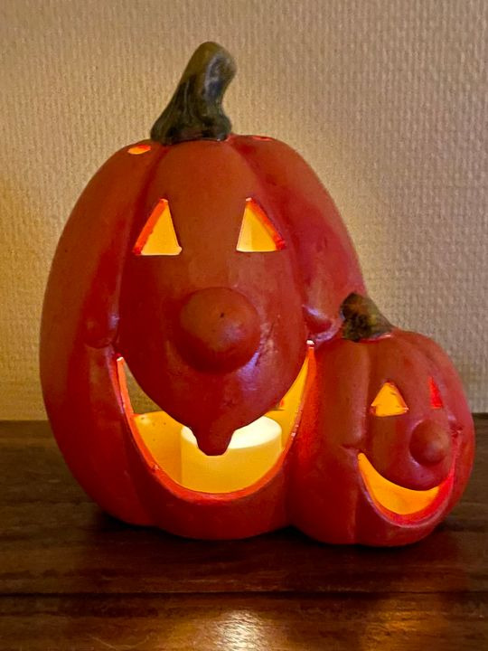 Hold trit med lokalområdet: Nyt fra Odder