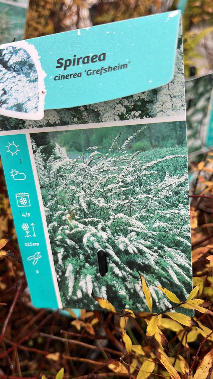 Hold dig ajour med dagens opdateringer fra Horsens