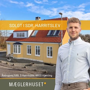 opslagsbillede