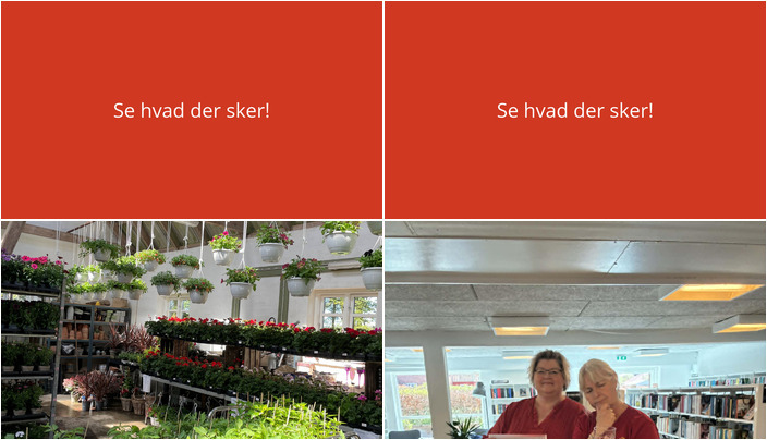 Oplev blomsterflor og få testet dit drikkevand i Aalestrup i den kommende uge