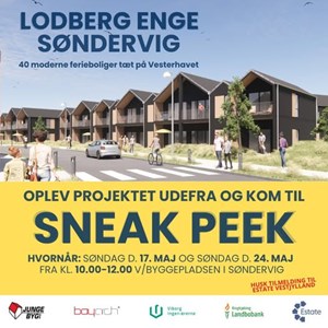 Opslagsbillede