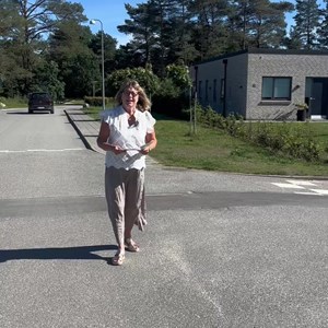 Opslagsbillede