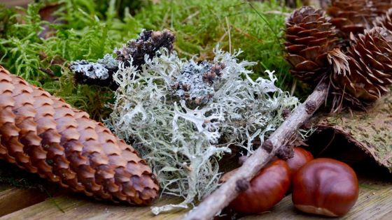 Skovtur og julehygge med SIND Ringsted-Sorø