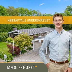 Opslagsbillede