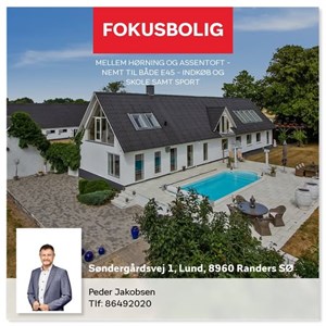 Opslagsbillede
