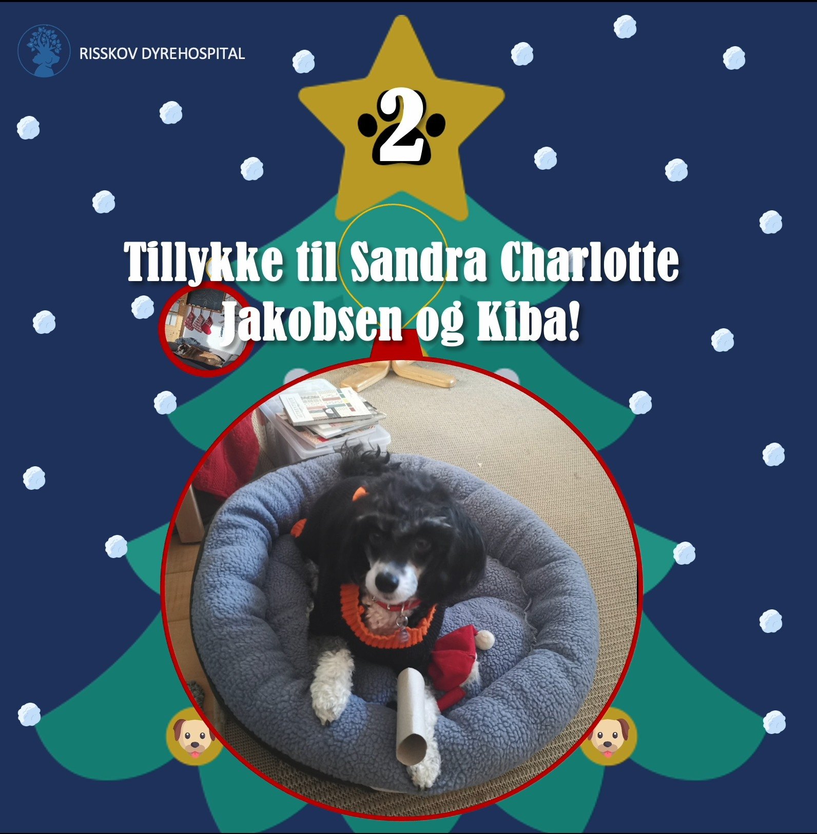 Hold dig ajour med dagens opdateringer fra Risskov