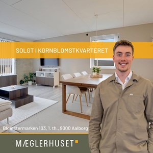 Opslagsbillede