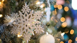 Kom i julestemning på Aarø Bryghus' julemarked