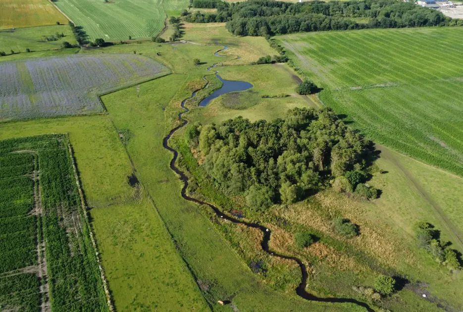 Skive Kommune inviterer lodsejere til møde om grønne initiativer med pølser og netværk